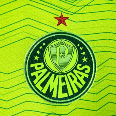 Conjunto Pré-jogo Palmeiras 2023/24 - (cópia)